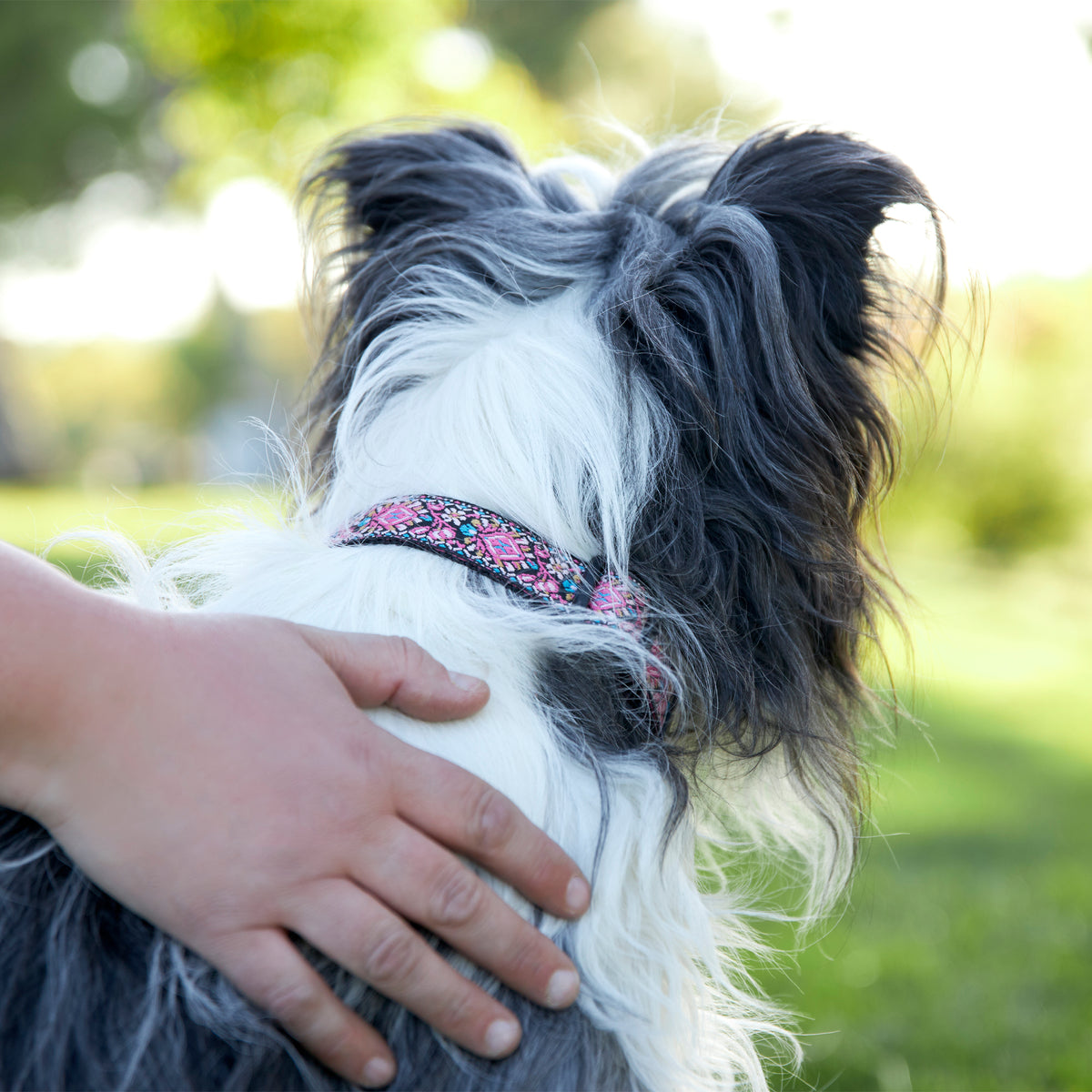 Pink Woven Dog Collar- Quick Release Durable and Strong Dog Collar for Small, Medium and Large Dogs