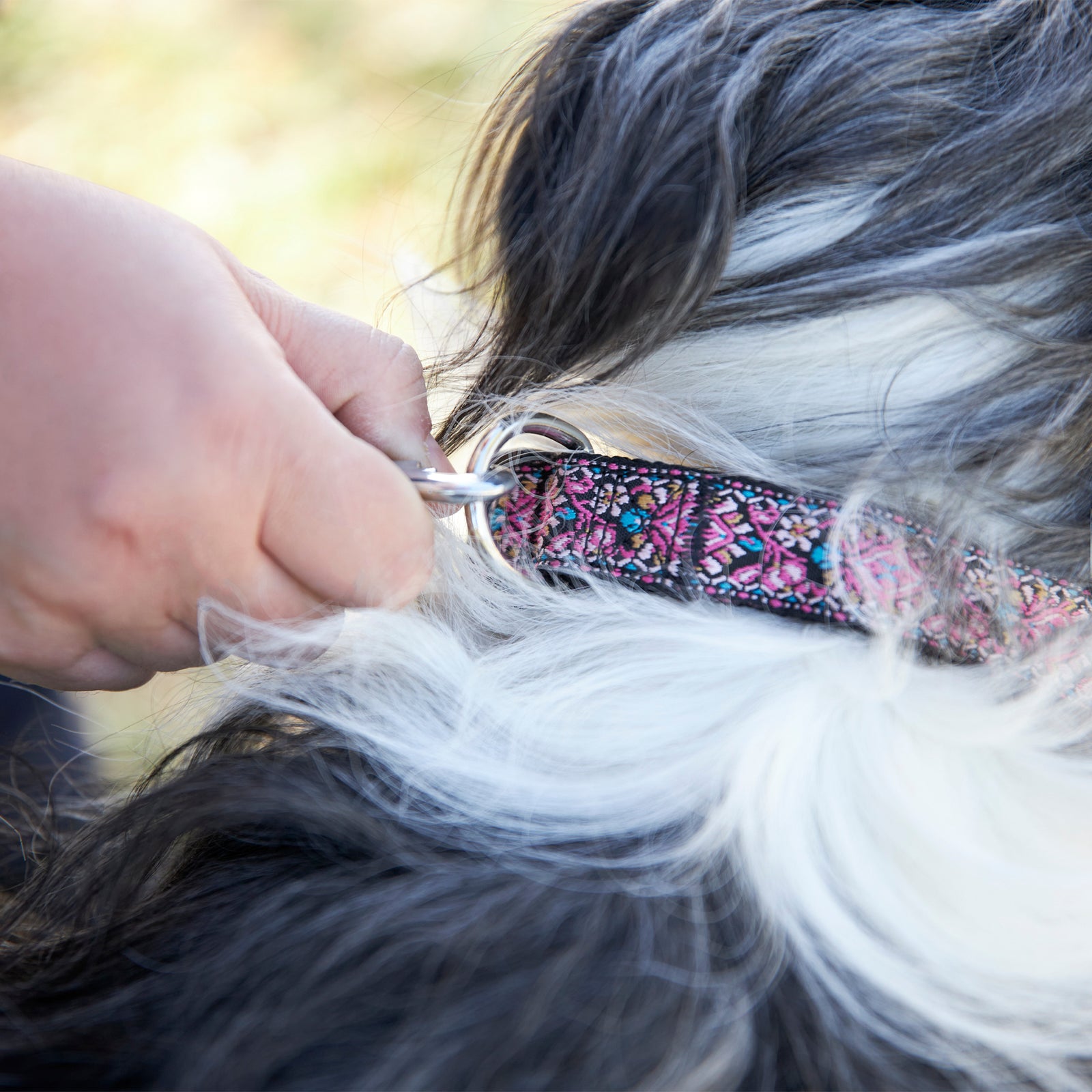 Pink Woven Dog Collar- Quick Release Durable and Strong Dog Collar for Small, Medium and Large Dogs