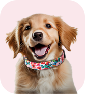 Pink Flower Dog Collar for small, medium and large dogs. Best gift for boy and girl dogs
