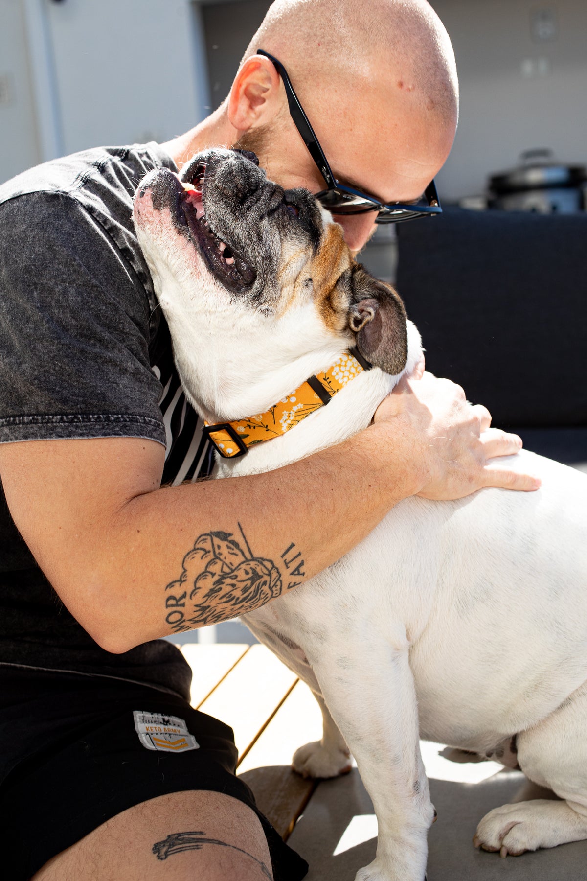 Yellow Spring Dog Collar- Quick Release Durable and Strong Dog Collar for Small, Medium and Large Dogs