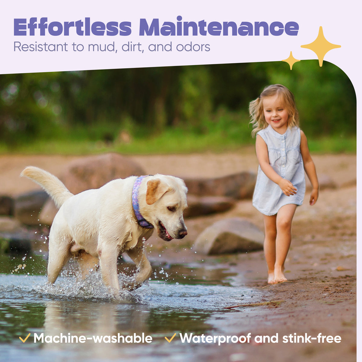 Violet Floral Dog Collar- Quick Release Durable and Strong Dog Collar for Small, Medium and Large Dogs