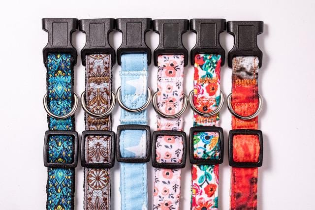 Floral Dog Collar foe samll, medium and large dogs. Quick release, durable and strong collar