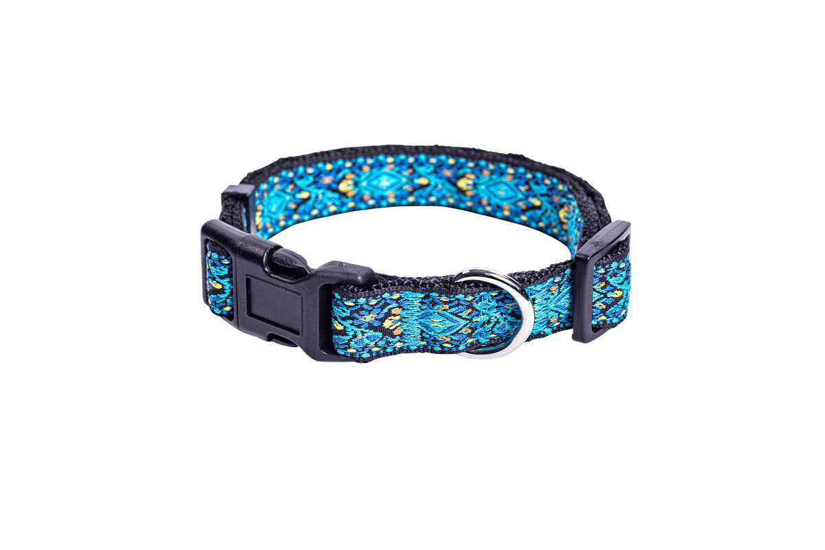 Blue Vintage Dog Collar for Small, Medium and Largs Dogs, Best Gift for your Pet!
