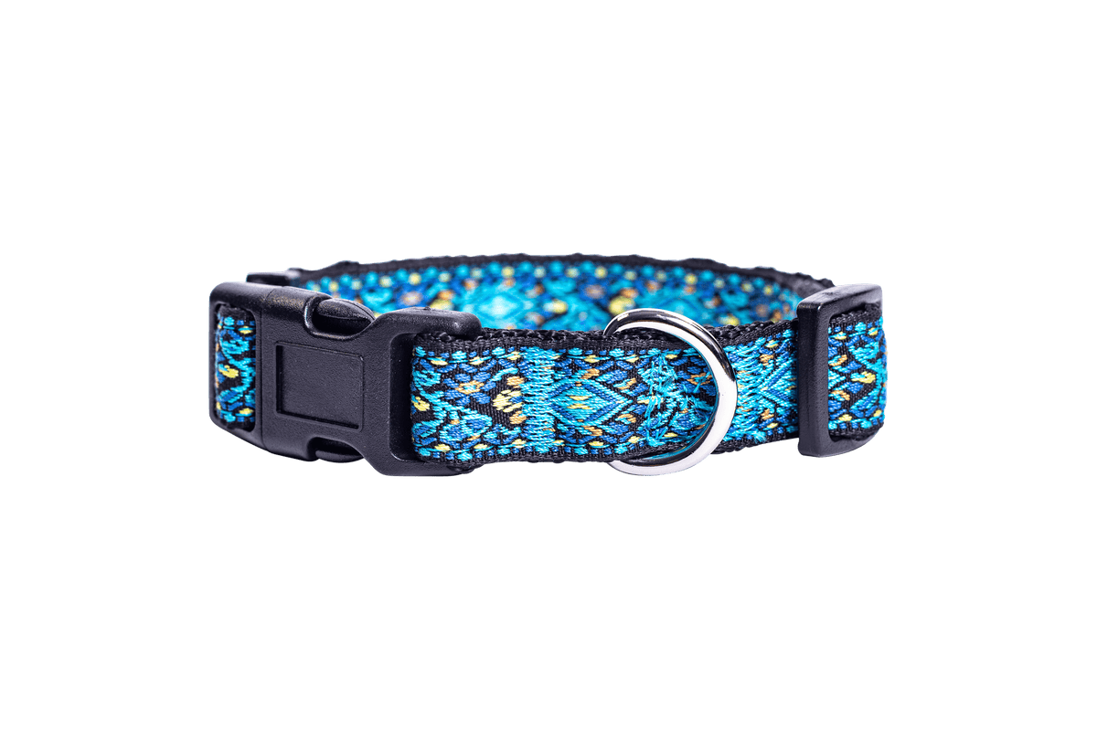 Blue Vintage Dog Collar for Small, Medium and Largs Dogs, Best Gift for your Pet!
