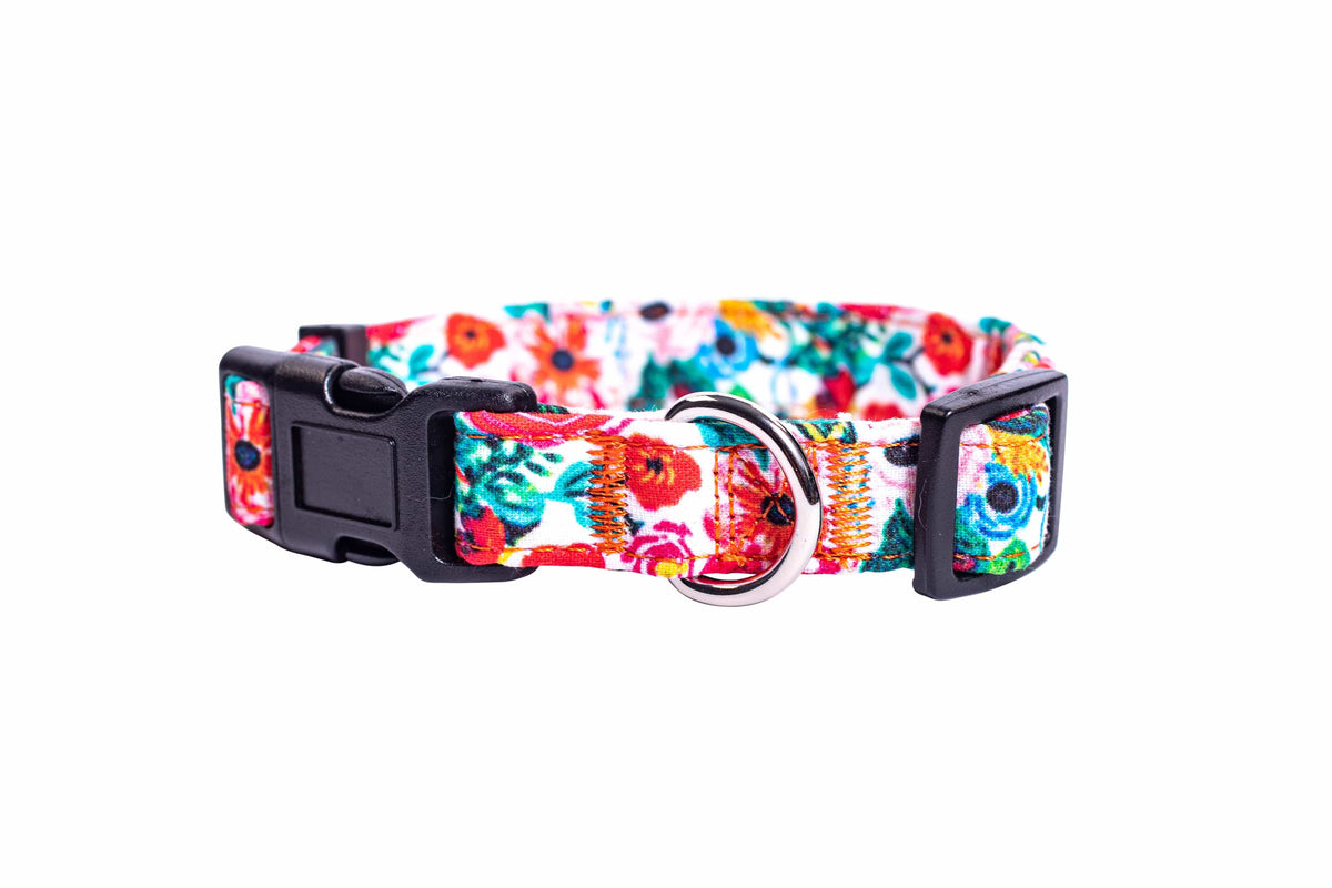 Floral Dog Collar foe samll, medium and large dogs. Quick release, durable and strong collar