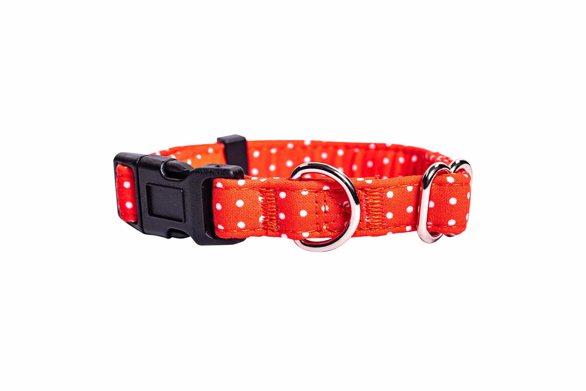 Retro Dots Dog Collar